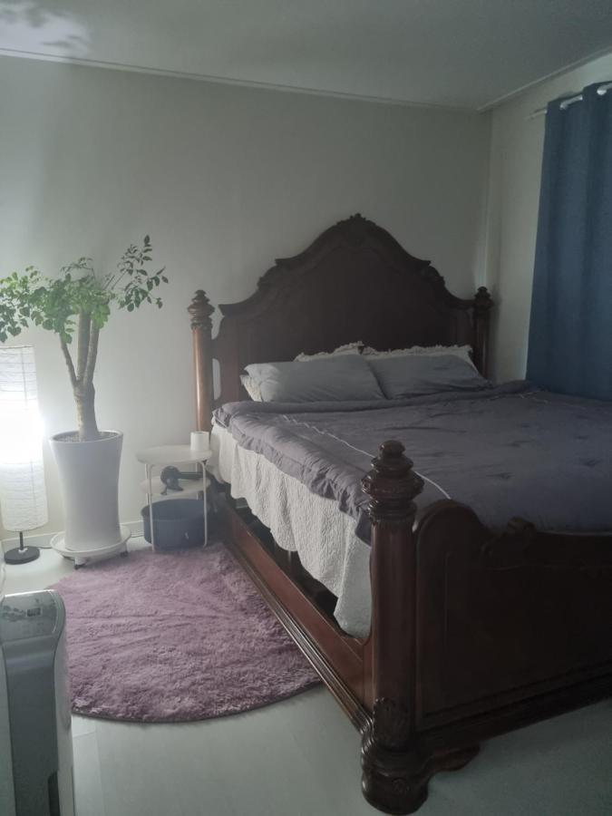 Gashi Sarang Bed & Breakfast Seogwipo Exterior photo